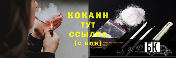 индика Янаул