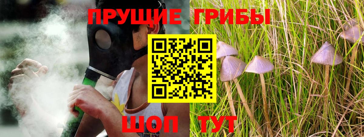 Псилоцибиновые грибы Magic Shrooms Назарово