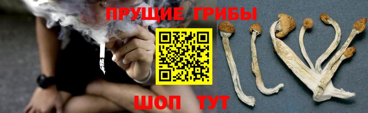 Галлюциногенные грибы Magic Shrooms Назарово