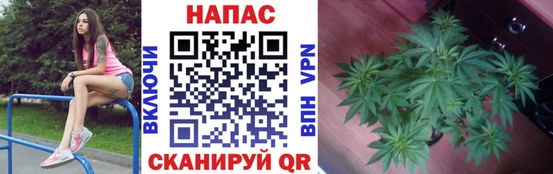 Марихуана White Widow  Назарово 